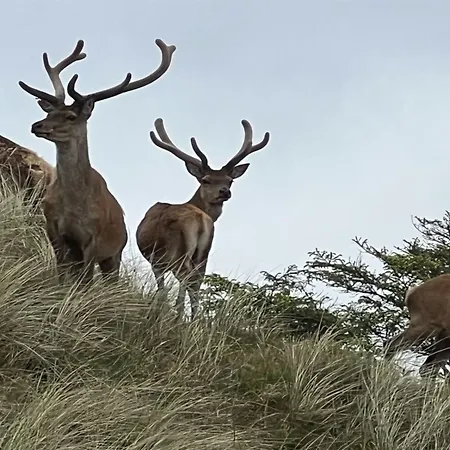 Nashota - 700m From The Sea By Interhome