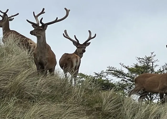 Holiday home Nashota - 700m From The Sea By Interhome